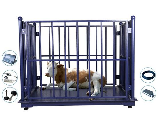 2*3M  Digital 10T Cattle Weighing Scales With Frame